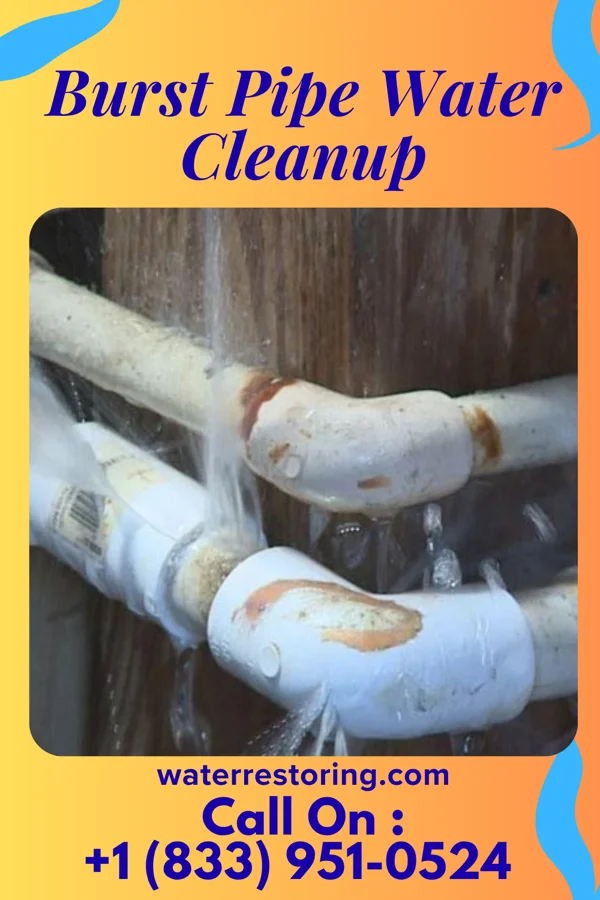 Burst Pipe Water Cleanup in Dundee, MN