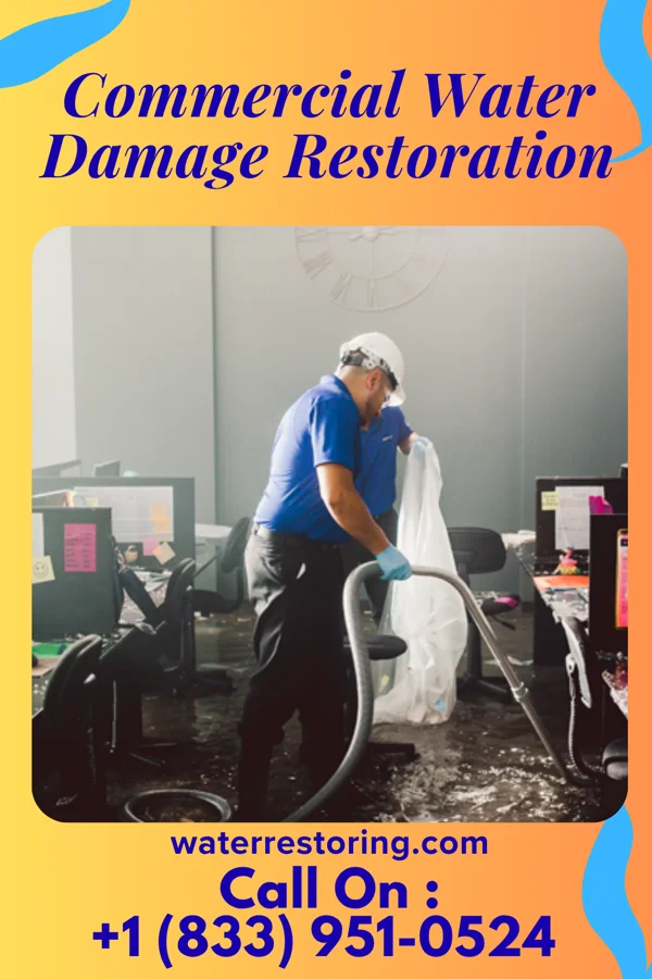 Commercial Water Damage Restoration in Dundee, MN