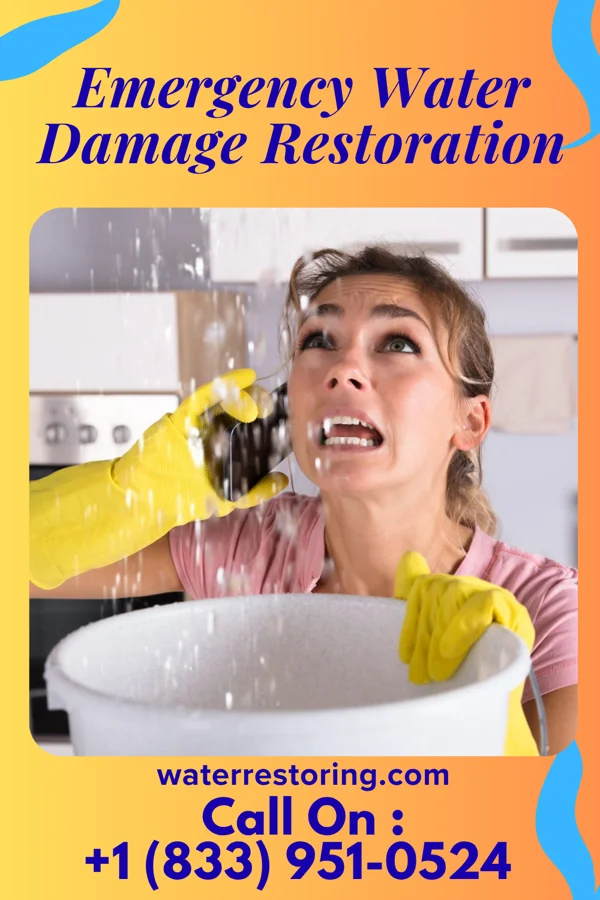 Emergency Water Damage Restoration in Dundee, MN