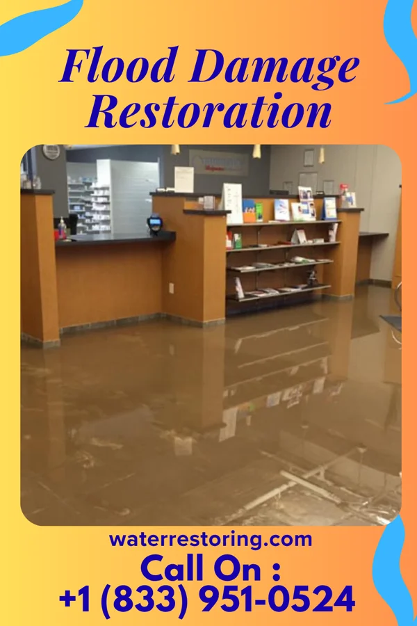 Flood Damage Restoration in Dundee, MN