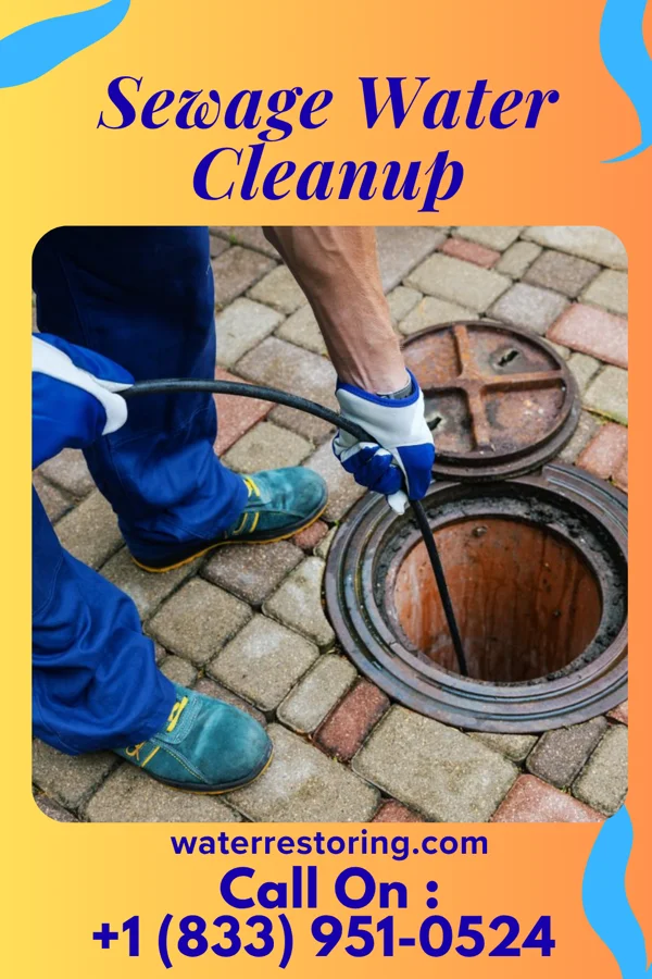 Sewage Water Cleanup in Dundee, MN